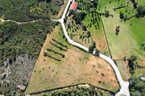 Terreno Rústico  Venda em Ninho do Açor e Sobral do Campo,Castelo Branco
