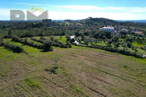 Terreno Rústico  Venda em Ninho do Açor e Sobral do Campo,Castelo Branco