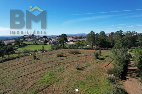 Terreno Rústico  Venda em Ninho do Açor e Sobral do Campo,Castelo Branco