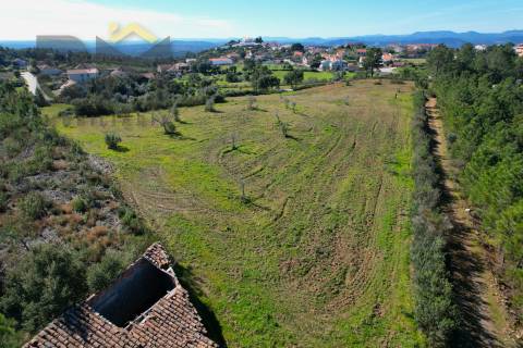 Terreno Rústico  Venda em Ninho do Açor e Sobral do Campo,Castelo Branco