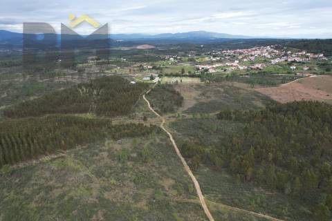 Terreno Rústico  Venda em Salgueiro do Campo,Castelo Branco