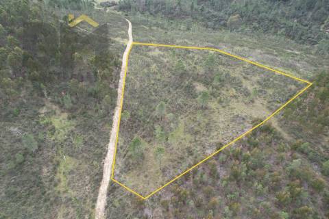 Terreno Rústico  Venda em Salgueiro do Campo,Castelo Branco