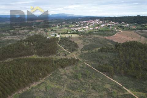 Terreno Rústico  Venda em Salgueiro do Campo,Castelo Branco