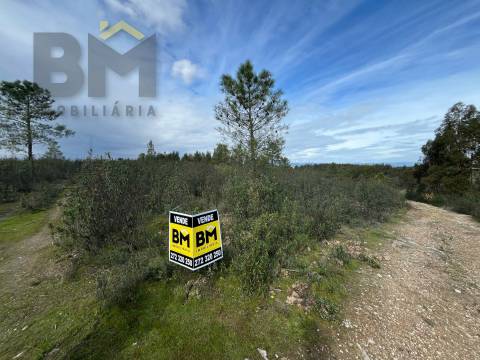 Terreno Rústico  Venda em Salgueiro do Campo,Castelo Branco
