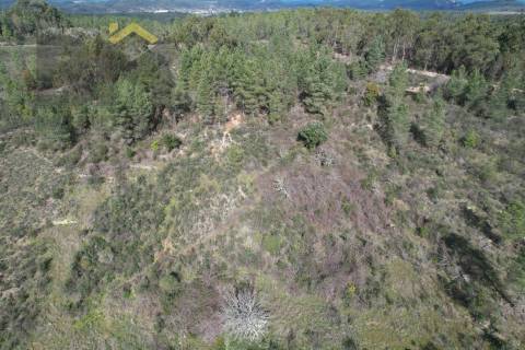 Terreno Rústico  Venda em Salgueiro do Campo,Castelo Branco