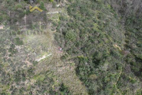 Terreno Rústico  Venda em Salgueiro do Campo,Castelo Branco
