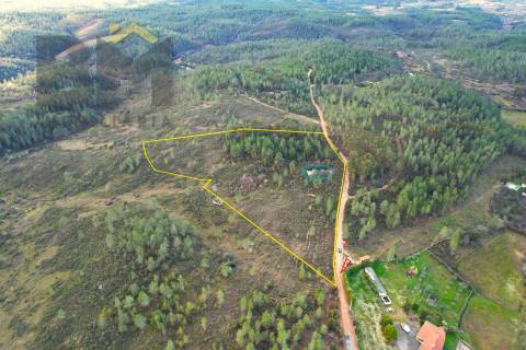 Terreno Rústico  Venda em Salgueiro do Campo,Castelo Branco