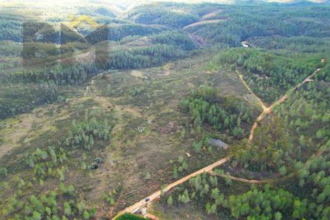Terreno Rústico  Venda em Salgueiro do Campo,Castelo Branco