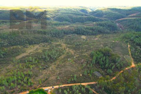 Terreno Rústico  Venda em Salgueiro do Campo,Castelo Branco