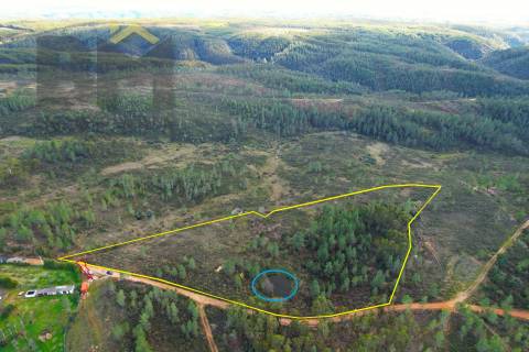 Terreno Rústico  Venda em Salgueiro do Campo,Castelo Branco