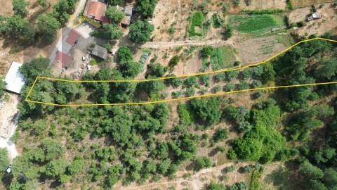 Terreno Rústico  Venda em Salgueiro do Campo,Castelo Branco