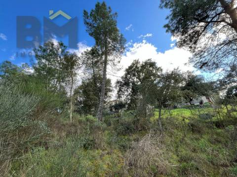 Terreno Rústico  Venda em Salgueiro do Campo,Castelo Branco