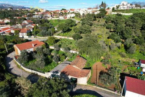 Armazém  Venda em Ninho do Açor e Sobral do Campo,Castelo Branco