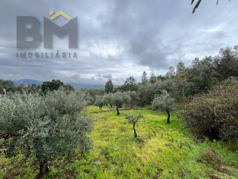 Terreno Rústico  Venda em Freixial e Juncal do Campo,Castelo Branco