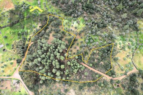 Terreno Rústico  Venda em Freixial e Juncal do Campo,Castelo Branco