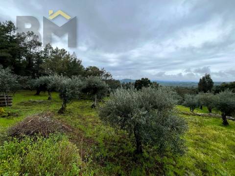 Terreno Rústico  Venda em Freixial e Juncal do Campo,Castelo Branco