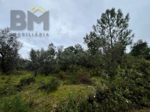 Terreno Rústico  Venda em Freixial e Juncal do Campo,Castelo Branco