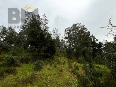 Terreno Rústico  Venda em Freixial e Juncal do Campo,Castelo Branco