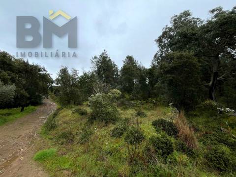 Terreno Rústico  Venda em Freixial e Juncal do Campo,Castelo Branco