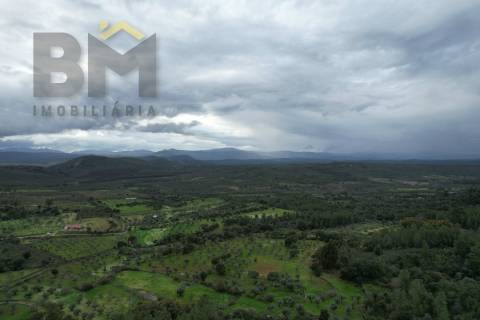 Terreno Rústico  Venda em Freixial e Juncal do Campo,Castelo Branco