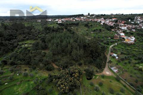 Terreno Rústico  Venda em Freixial e Juncal do Campo,Castelo Branco
