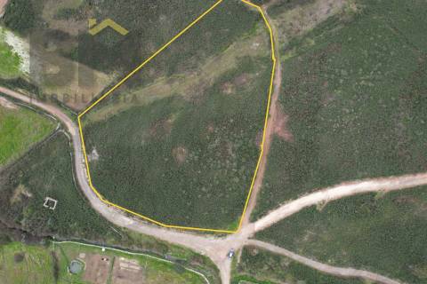 Quinta  Venda em Freixial e Juncal do Campo,Castelo Branco