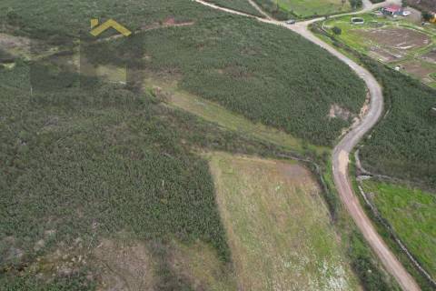 Quinta  Venda em Freixial e Juncal do Campo,Castelo Branco
