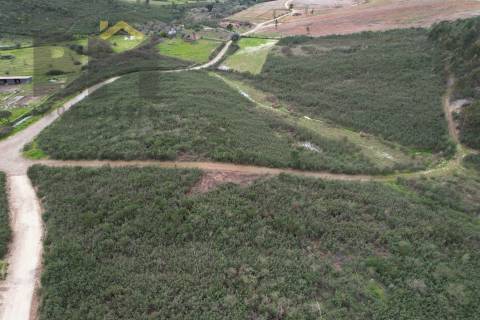 Quinta  Venda em Freixial e Juncal do Campo,Castelo Branco