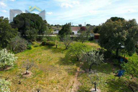 Lote de Terreno  Venda em Escalos de Baixo e Mata,Castelo Branco