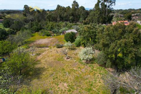 Lote de Terreno  Venda em Escalos de Baixo e Mata,Castelo Branco
