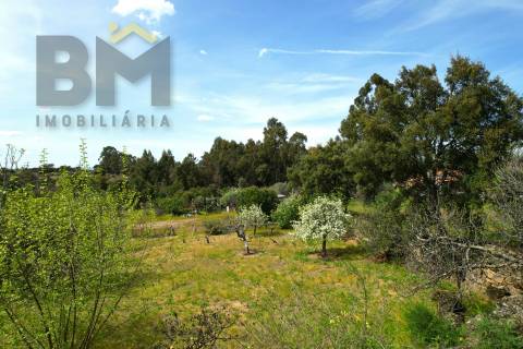 Lote de Terreno  Venda em Escalos de Baixo e Mata,Castelo Branco
