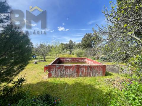 Lote de Terreno  Venda em Escalos de Baixo e Mata,Castelo Branco