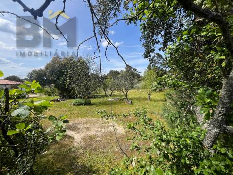 Lote de Terreno  Venda em Escalos de Baixo e Mata,Castelo Branco
