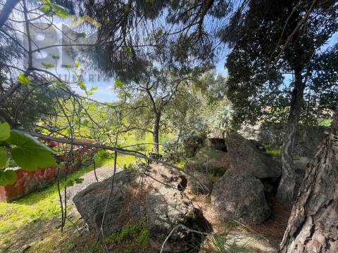 Lote de Terreno  Venda em Escalos de Baixo e Mata,Castelo Branco