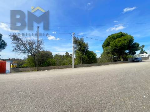 Lote de Terreno  Venda em Escalos de Baixo e Mata,Castelo Branco