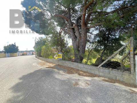 Lote de Terreno  Venda em Escalos de Baixo e Mata,Castelo Branco