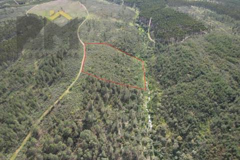 Terreno Rústico  Venda em Salgueiro do Campo,Castelo Branco