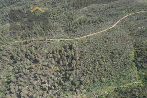 Terreno Rústico  Venda em Salgueiro do Campo,Castelo Branco
