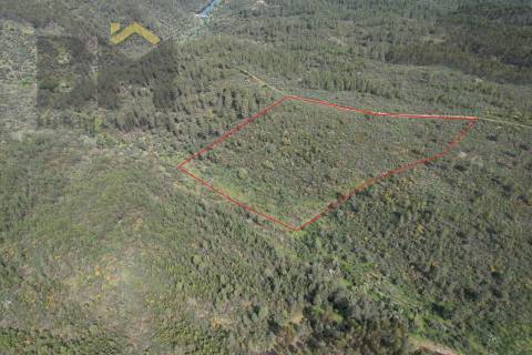 Terreno Rústico  Venda em Salgueiro do Campo,Castelo Branco