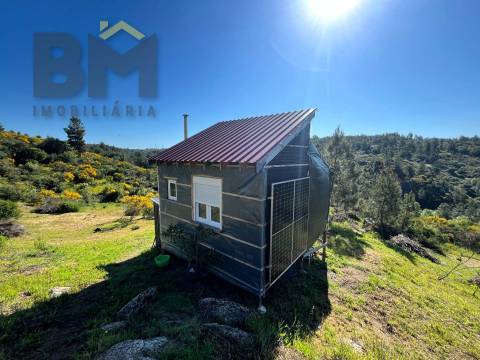 Terreno Rústico  Venda em Salgueiro do Campo,Castelo Branco