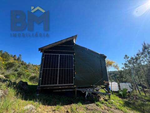 Terreno Rústico  Venda em Salgueiro do Campo,Castelo Branco