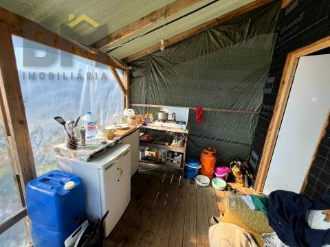 Terreno Rústico  Venda em Salgueiro do Campo,Castelo Branco