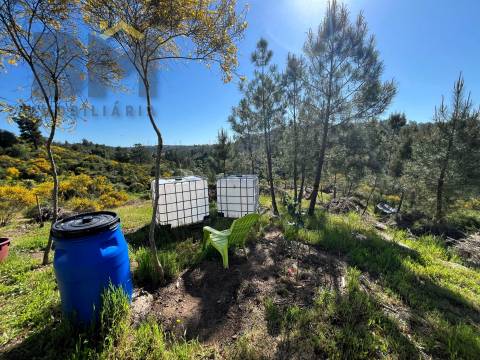 Terreno Rústico  Venda em Salgueiro do Campo,Castelo Branco