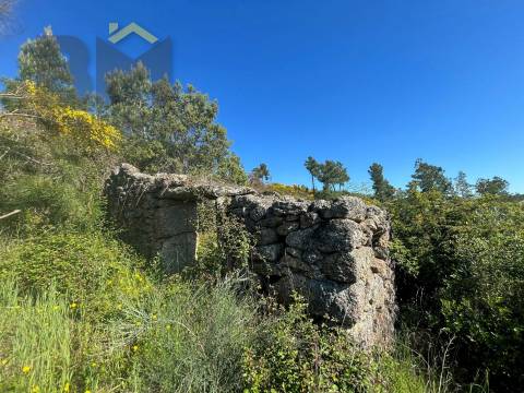Terreno Rústico  Venda em Salgueiro do Campo,Castelo Branco