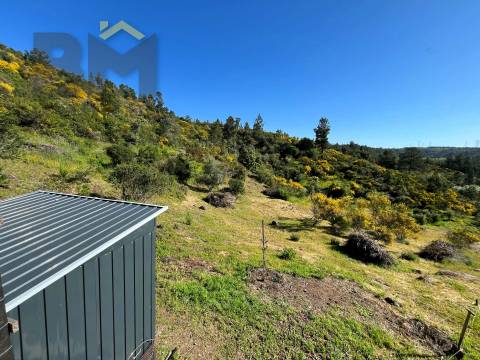 Terreno Rústico  Venda em Salgueiro do Campo,Castelo Branco