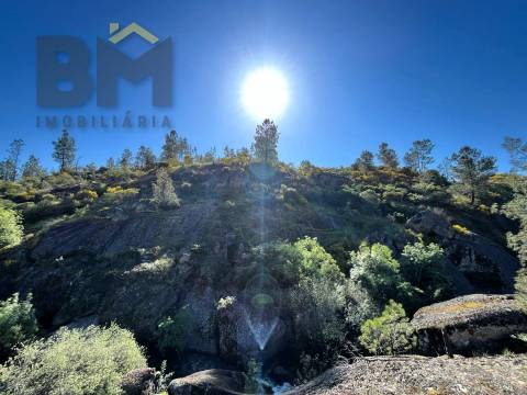 Terreno Rústico  Venda em Salgueiro do Campo,Castelo Branco