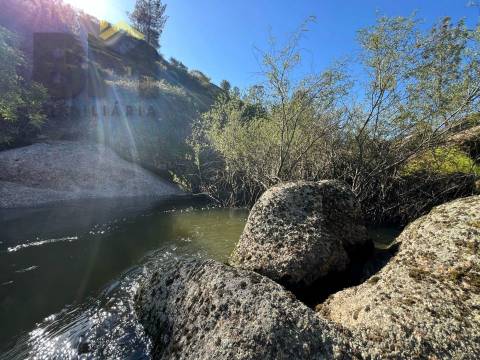 Terreno Rústico  Venda em Salgueiro do Campo,Castelo Branco