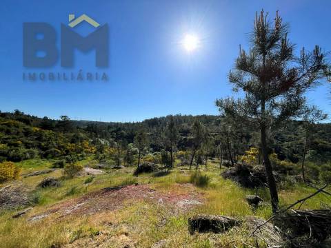 Terreno Rústico  Venda em Salgueiro do Campo,Castelo Branco