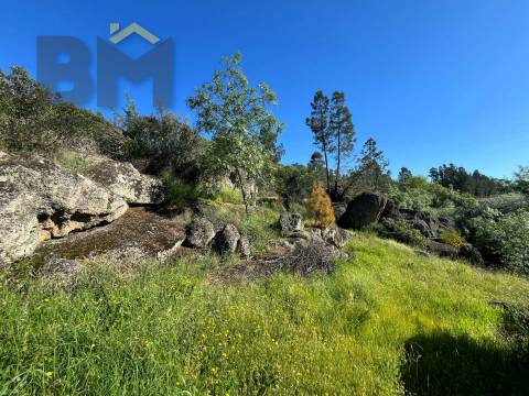 Terreno Rústico  Venda em Salgueiro do Campo,Castelo Branco