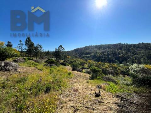 Terreno Rústico  Venda em Salgueiro do Campo,Castelo Branco